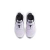 Nike Star Runner 2 PS Violet Frost Metallic Pewter Kids Sneakers Purple Dark-Smoke-Grey White AT1801-502
