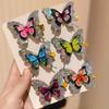 Ein Set aus sechs mehrfarbigen High-End-Schmetterlings-Haarspangen ist ein perfektes Geschenk für, um eine prinzessinnenhafte Atmosphäre zu schaffen