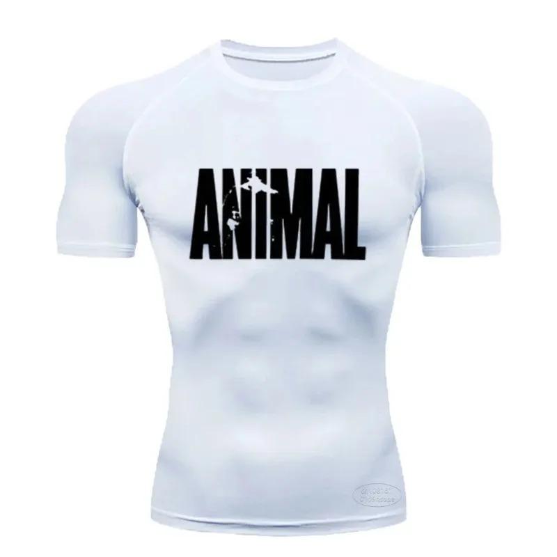 

Men s Quick-drying Sports T-shirt Training Clothes Summer Fitness Stretch Breathable Short-sleeved Workout Tops Sweat Absorbing Tight Fit XXXL