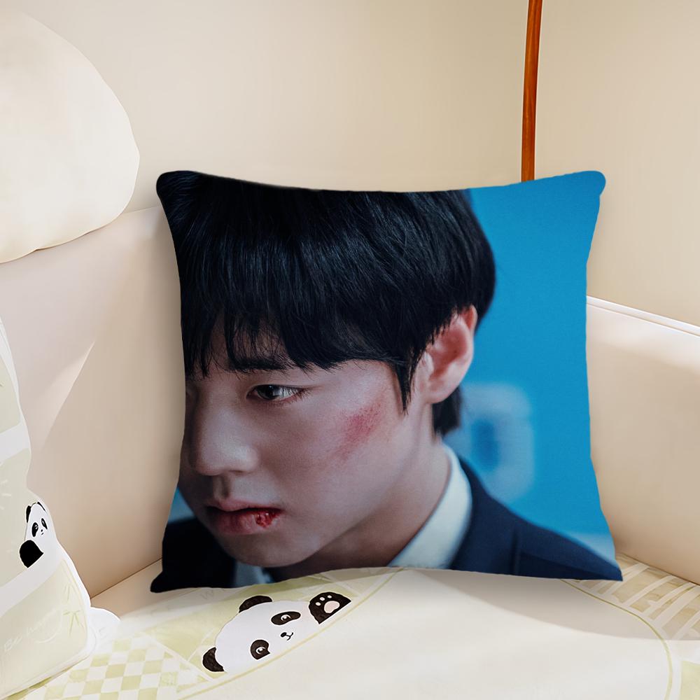 TV cushion cover Sofa Decorative Home Headboard Bedroom Backrest Cushion Square Cushion W-Weak H-Hero Class 2-S Nap Time