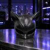 Transparant Vision Cosplay Mask Halloween Katvrouw Masker, Zwart Kattenoog Kostuum Zacht Latex Leer Accessoire voor Maskerade Superheldenfeest Sexy