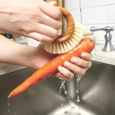 Wooden Handle Vegetable Brush with Sisal Bristles, Kitchen Fruit Vegetable Cleaning Scrubber with Hanging Hook