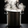 22L Stainless Steel Pot Large 30.5 Cm With Cooking Lid Silver