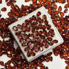 Natural Orange Sapphire Loose Gemstone 7x5 mm 12 ct Lot Fire Pear Cut September Birthday Birthstone