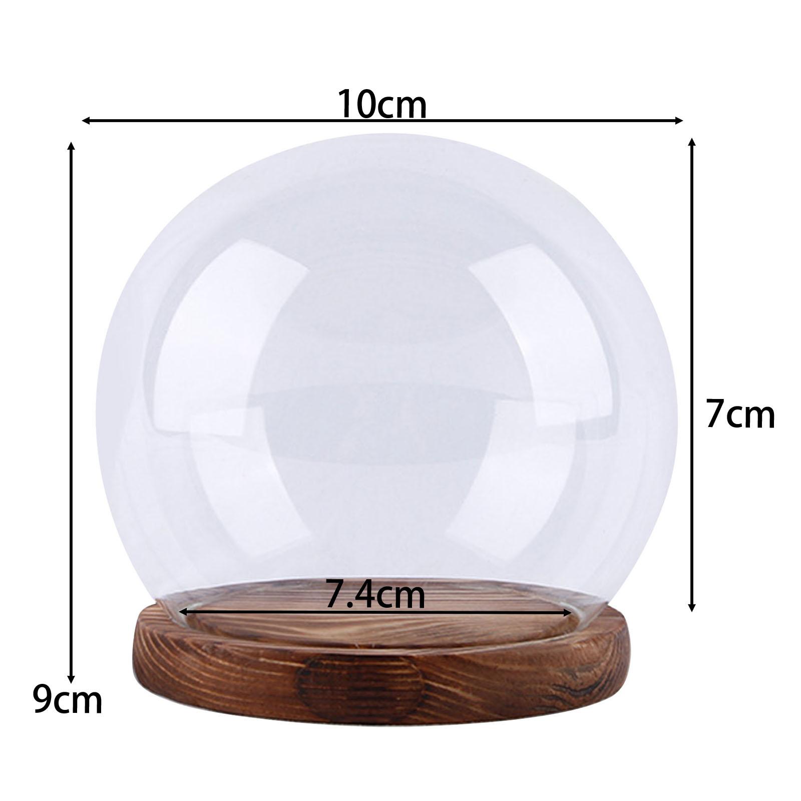 Cloche Glass Dome with Base Tabletop Display Glass Cloche Globe Dome Clear Ball Shape Decorative Dome Case Globe for Flower