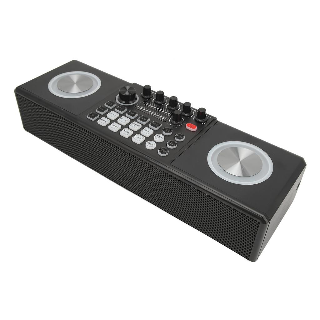 Karaoke Machine with 2 Microphones Portable Bluetooth Outdoor Sound Card Speaker Karaoke Machine Set for Home Party