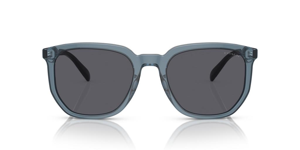 Sunglasses HC8384U CL911 TRANSPARENT BLUE 55 [Coach]