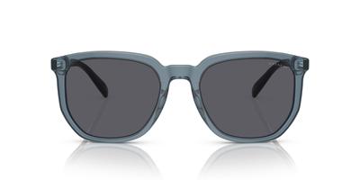 Sunglasses HC8384U CL911 TRANSPARENT BLUE 55 [Coach]