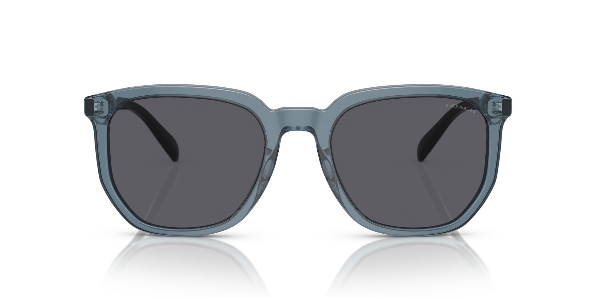 

Солнцезащитные очки HC8384U CL911 ПРОЗРАЧНЫЙ СИНИЙ 55 [Coach]