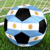 Argentina Theme Size 5 Soccer Ball, Suitable for Both Indoor and Outdoor Matches, a Gift Suitable for Everyone.