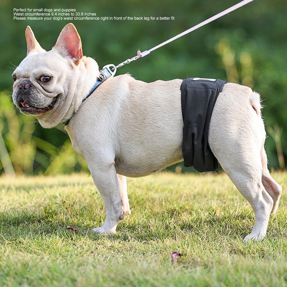 Graphene Fabric Male Dog Underwear High Absorb Layer Leakproof Pet Wrap Urine Containment
