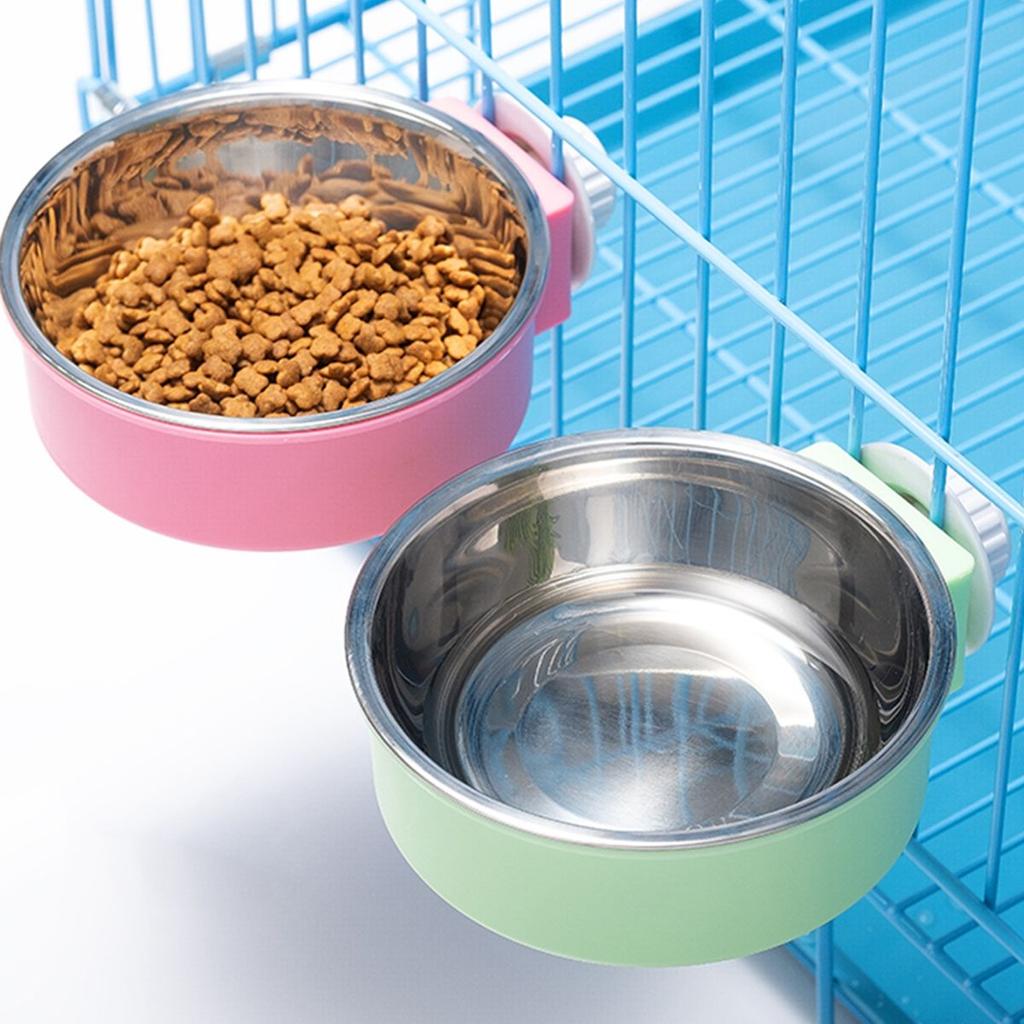 dog feeding cup