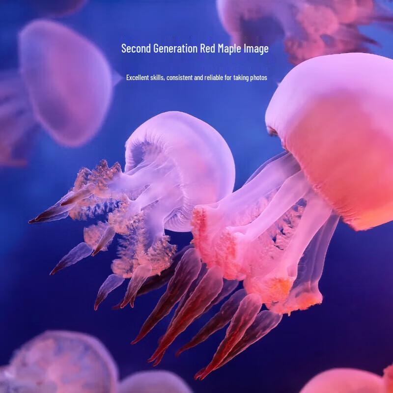 HUAWEI Mate X7 Foldable Smartphone (CN version)