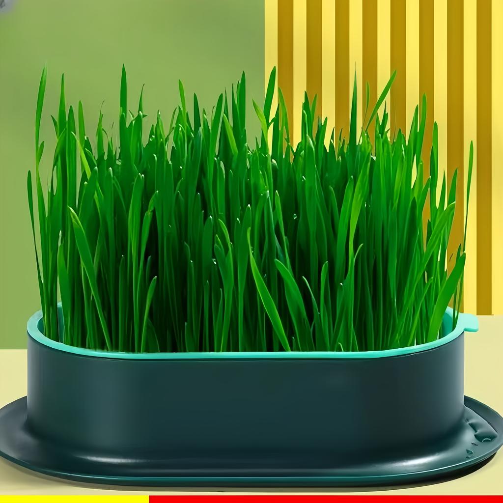 1 Pack Katzengras Anzuchtbox, Hydroponische Pflanzkästen, Robuste Kunststoff Anzuchtschalen mit Einfachem Wasseraustausch-Design für Katzen