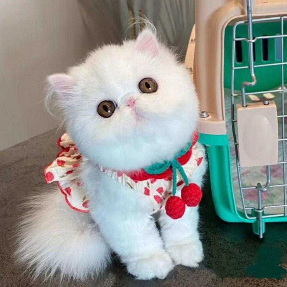 Soft Pet Princess Dresses Cute Dog Vest Skirt Comfortable Pet Summer Clothes  Kittens