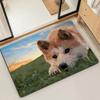 Doge funny Emoticon S-Shiba M-Meme Microfiber Decorative Versatile Flannel Floor Bath Door Mat Quick Dry Absorbent Non-slip Sole