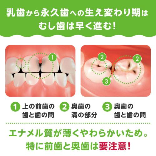 BUTLER F-Paste Children's Toothpaste with Fluoride, Cavity Prevention, Fruit Mint Flavor, Sunstar, 70g