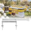 Clip Abrazadera de Acero Inoxidable para Cuadro de Abejas con Rascador Equipo para Colmena Herramienta Apícola Accesorios