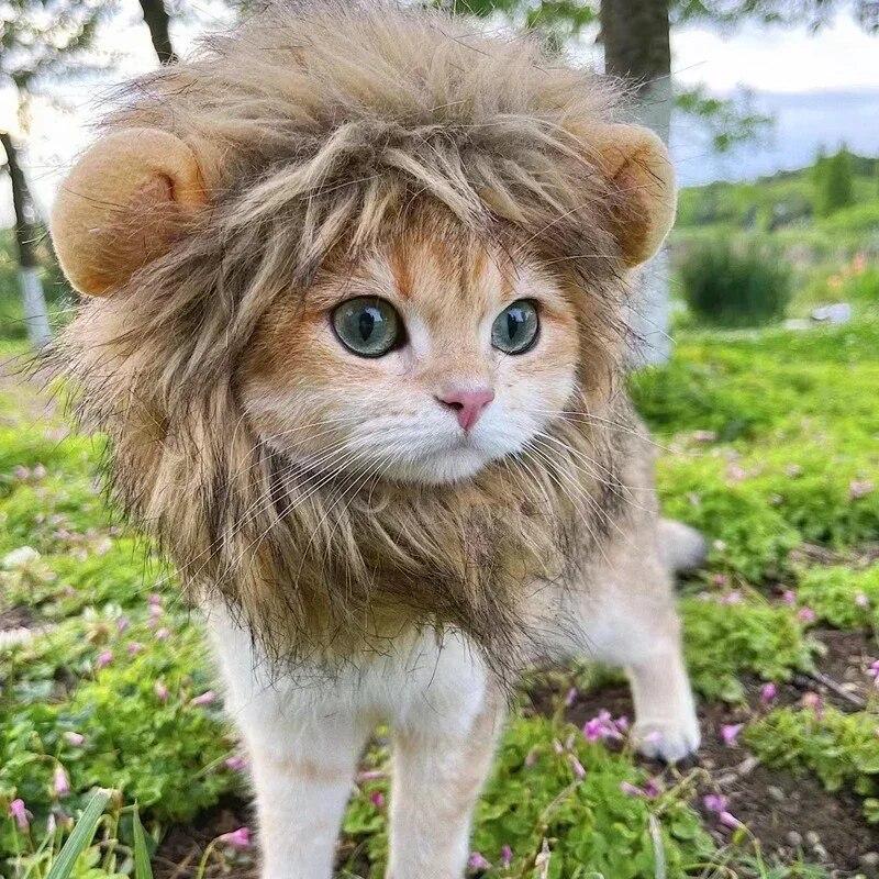 Cat Cosplay Dress Up Pet Hat Cute Lion Mane for Cat Puppy Lion Wig Costume Party Decoration Halloween Christmas Gatos Costume Cosplay Toy Pet Supplies