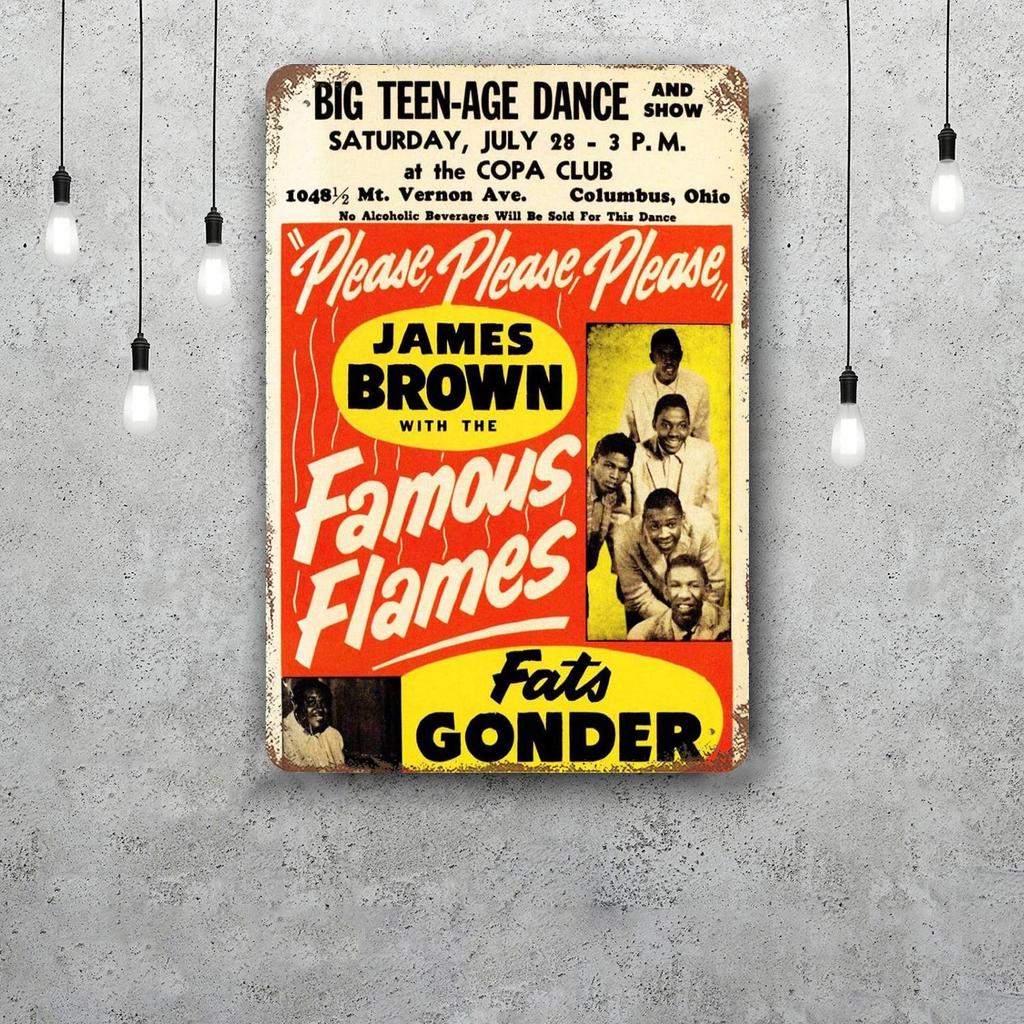 James Brown Metal Signs Wall Decor Vintage Tin Signs Captain Metal Poster Decor for Bar Pub Club Wall Decoration