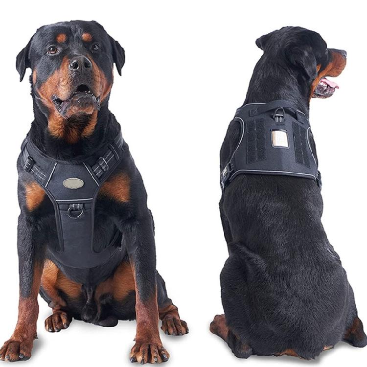 Dog Vest Harness for Training Walking Belt for Large Medium Small Dogs