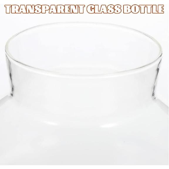 BESPORTBLE Round Glass Jars with Cork, Small Round Glass Dome Clear Cloche Globe Display Bell Jar Round Terrarium for Flower Dollhouse Mini Figure