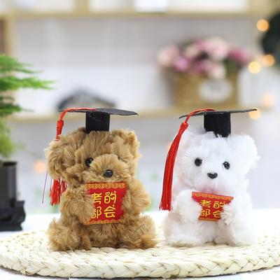 Creative Bag Hanging Decoration Keychain Pendant Holding Card Doctor Bear Small Pendant Bear Doll Plush Toy