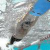 Swimming Kickboard - One Size Fits All - Training Aid compatible with Kids & Adults