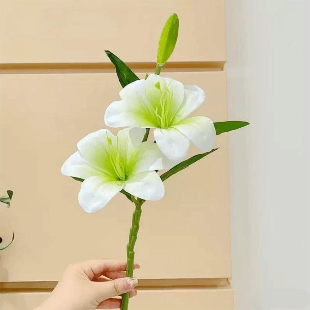 Creative Plastic Irregular Vase High-end Solid Color Water Cultivation Vase Desktop Decoration Flower Arrangement Vase