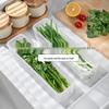 Clear Plastic Sealed Box for Keeping Fresh: Coriander, Scallions, Noodles, Eggs In Fridge or Freezer