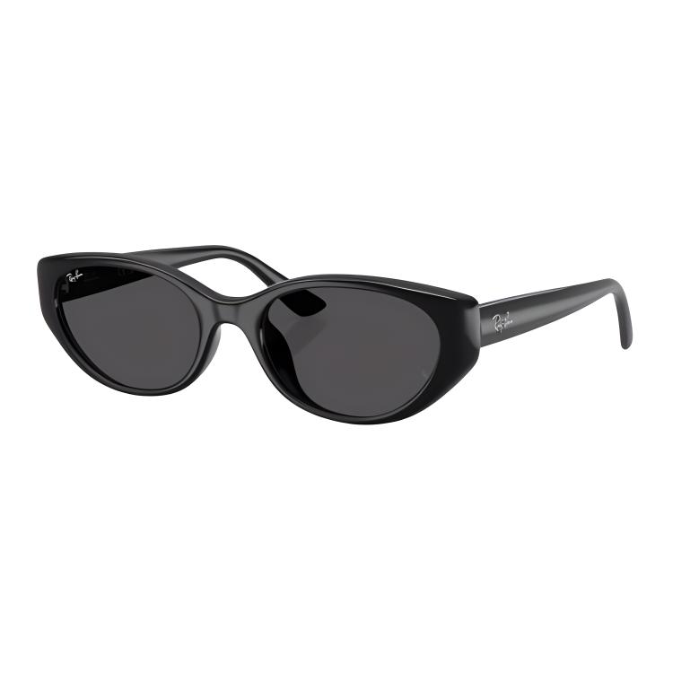 

RayBan Oval Black Retro Sunglasses UV400