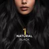 BBLUNT Salon Secret High Shine Conditioning Hair Colour Natural Black 130G Pack of 1 Long Lasting Vivid Colour