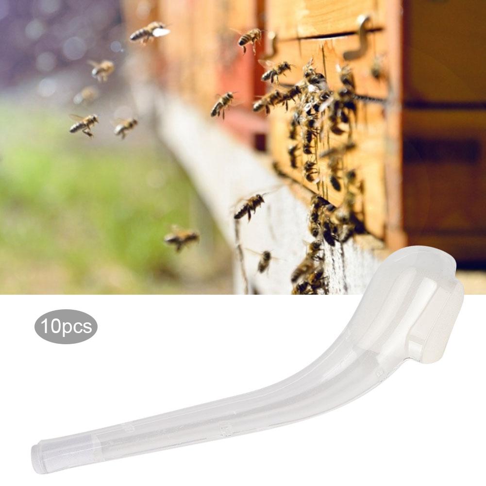 10 Stück Königinnen-Fanglöffel Harmloser Fang Bienenstockwerkzeug Imkerbedarf