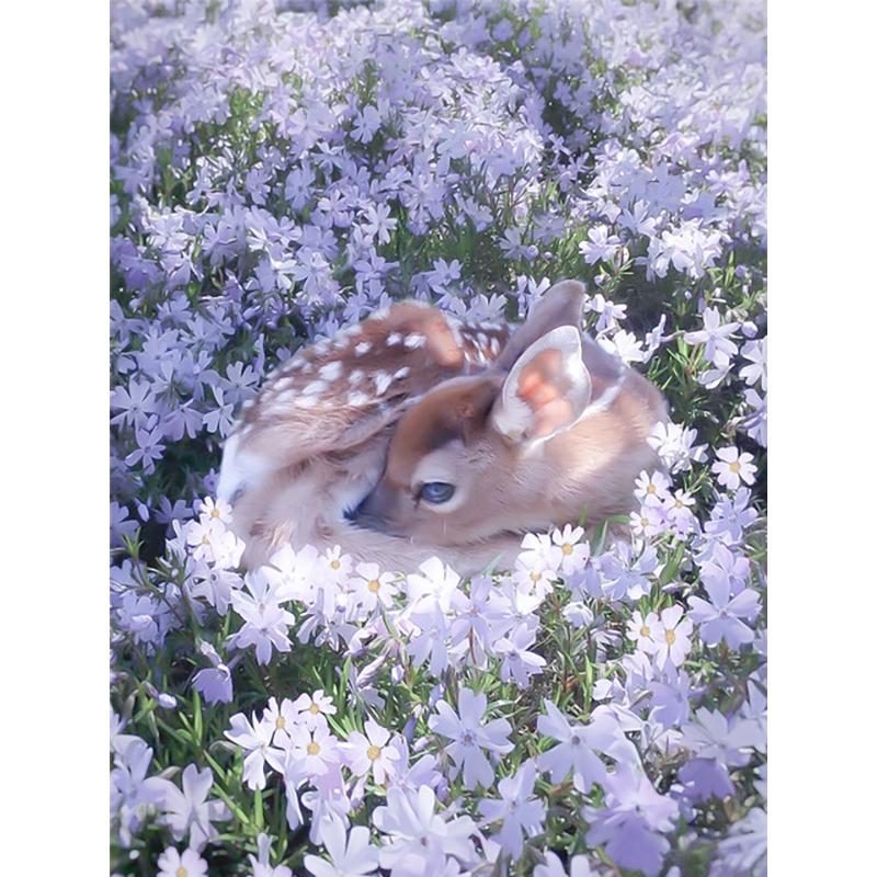 Full Round Drill 5D DIY Animals Tiger Diamond Painting Flower Fox Diamond Embroidery Cross Stitch Christmas Decoration