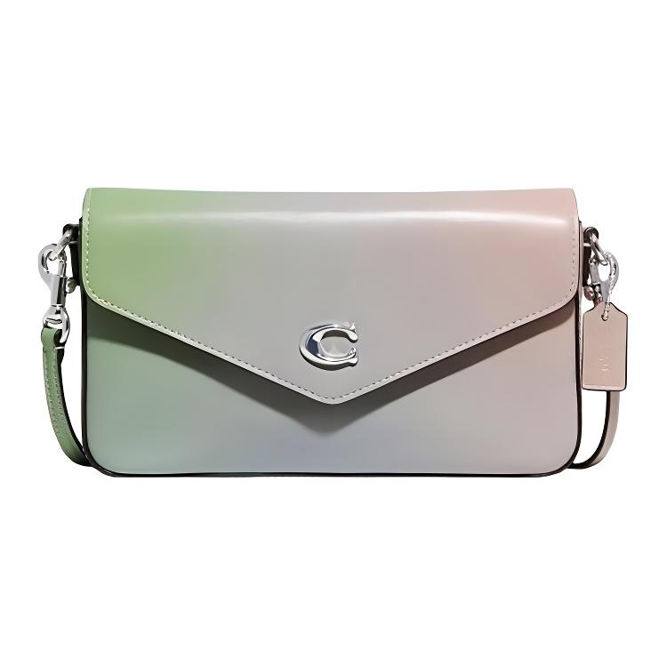 

Coach Wyn 21 Minimalist C Logo Flap Closure Leather Envelope Shoulder Bag Women bags Gradient CA260-LHUAU Basic Set (Bag+Dust Bag)