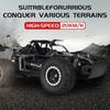 2.4Ghz 20km/h RC Off Road Car 2WD Remote Control Vehicle with LED Headlight Independent Shock Absorber for Children's Racing Toy