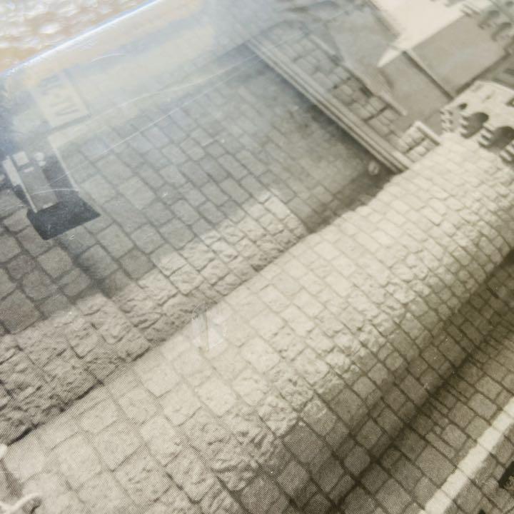 [USED] American Imports Instagrammable Disney's Disneyland