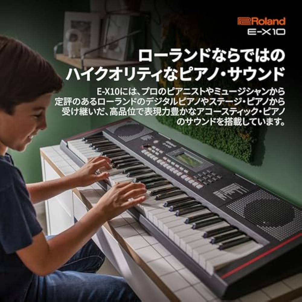 Roland Roland Electronic Keyboard, E-X10 Arranger Keyboard, Easy Operation, 61 Keys, Automatic Ac...