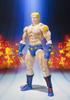 TAMASHII NATIONS Kinnikuman Terryman approximately 150mm painted movable figure S.H.Figuarts PVC&ABS