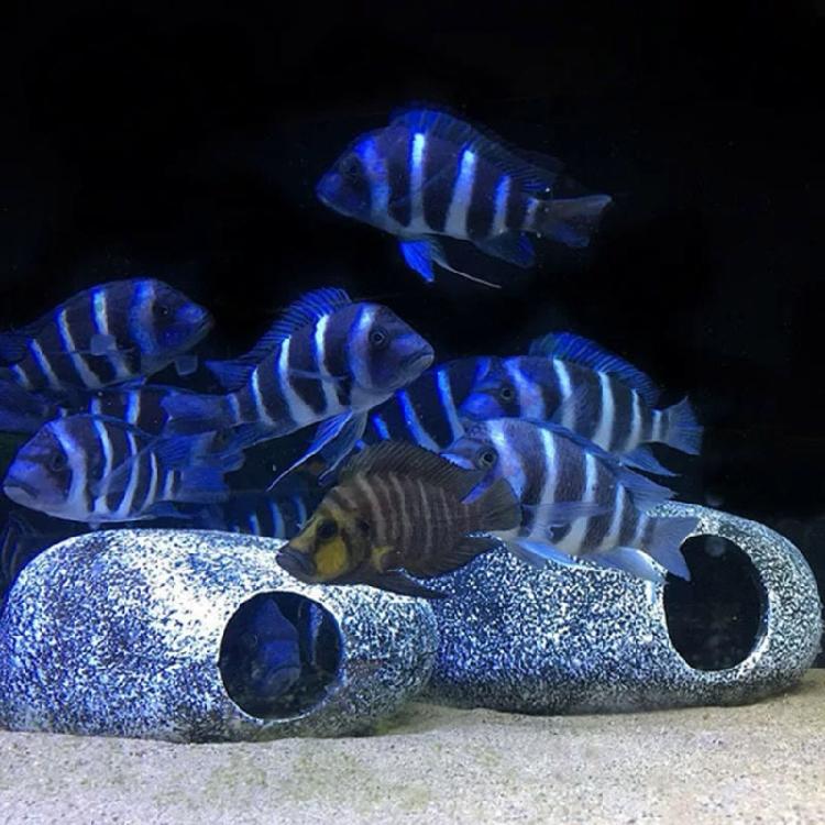 Aquarium Resin Rock Cave Decoration Hideout for Hermit Crabs Shrimp Guppy