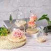 PATIKIL 5.1" x 3.9" Glass Dome Cloche, Clear Glass Bell Jar Display Case, Tabletop Centerpiece with Wooden Base, LED Light, Plant, Home Decor, Natural