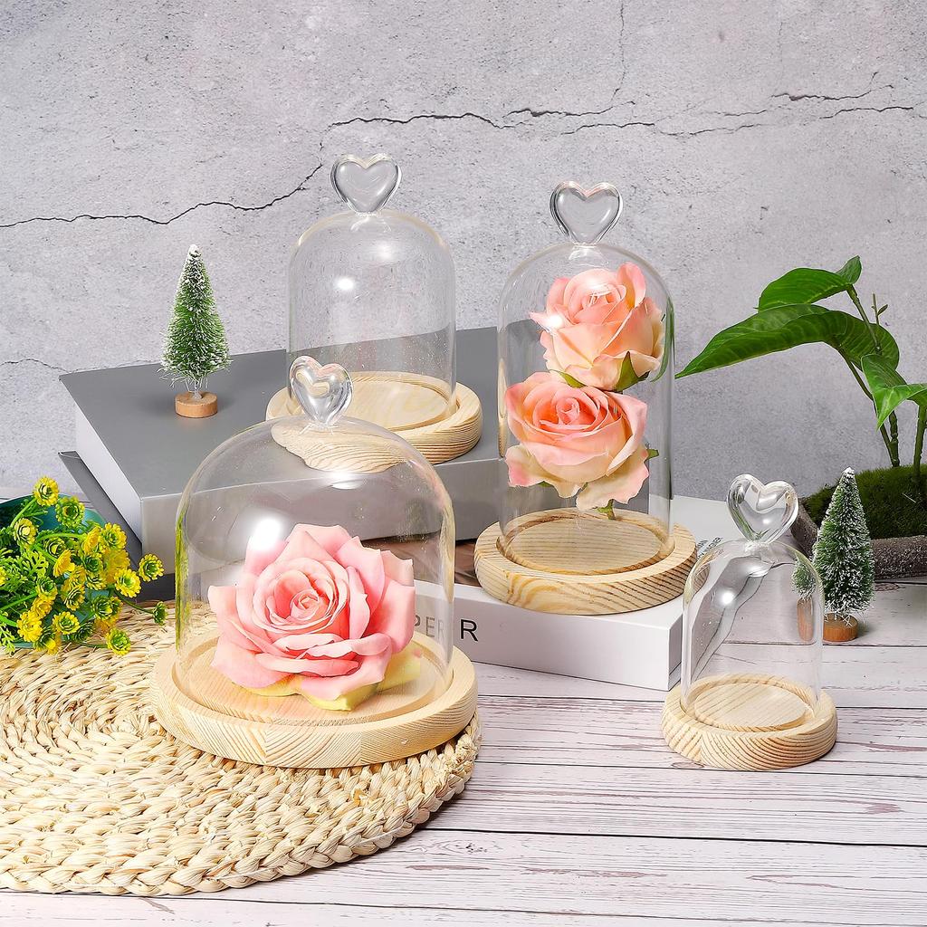 PATIKIL 5.1" x 3.9" Glass Dome Cloche, Clear Glass Bell Jar Display Case, Tabletop Centerpiece with Wooden Base, LED Light, Plant, Home Decor, Natural