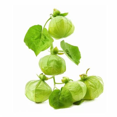 100 semi di tomatillo verde - Permacultura semi-selvatica