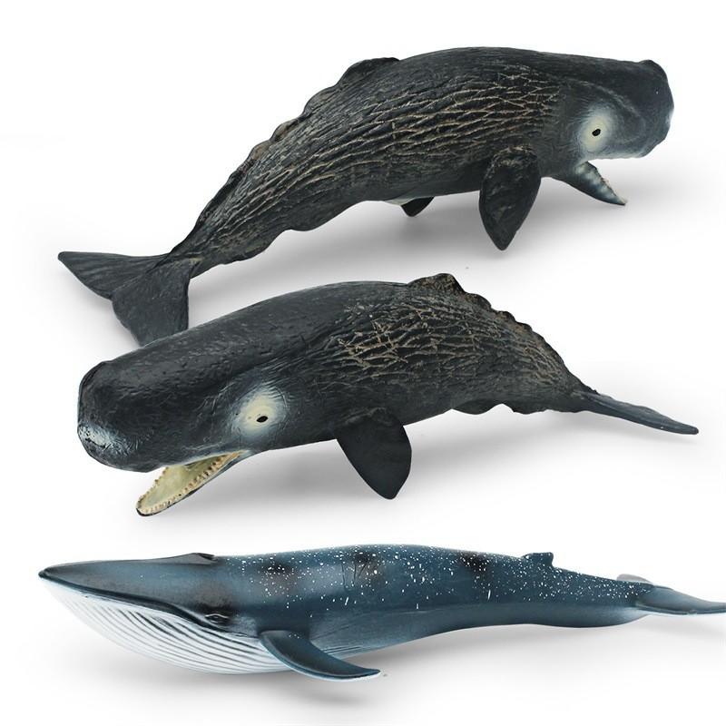 High-quality Realistic Whale Figurines Ideal For Kids' Ocean Education And Decor