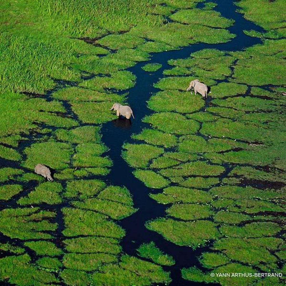 Guerlain New Aqua Allegoria Eau De Toilette 40ml