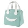 Lunch Bag Insulated Hand Carry Oxford Cloth Cute Large Capacity Lunch Box Bag for School  