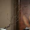 One-Meter Zen Dragon Jujube Branch: Retro Modern Wabi-Sabi Floral Art Arrangement
