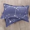 2pcs Northern Europe Pillowcase Cartoon Pillowcase Comfortable Student Pillowcase Anime Body pillow decorative pillow case