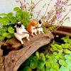 8/5/3pcs Mini Small Aquarium Ornament Fishing Cat Fish Tank Landscaping Cartoon Cat Statue Interesting Miniature Fishbowl Decor