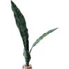 Artificial Snake Plant Decoration Decorating Supplies Green Faux Greenery Versatile Application Detailed Imitation